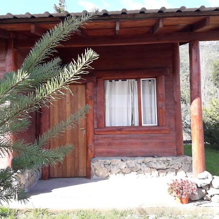 El Jarillal Chalet De Montana A Pasos Del Lago Lago Puelo Buitenkant foto