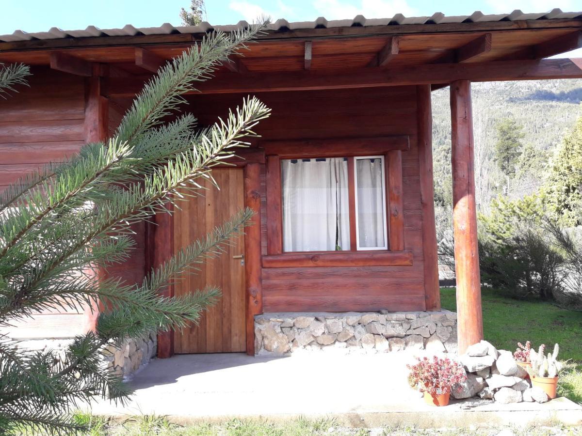 El Jarillal Chalet De Montana A Pasos Del Lago Lago Puelo Buitenkant foto